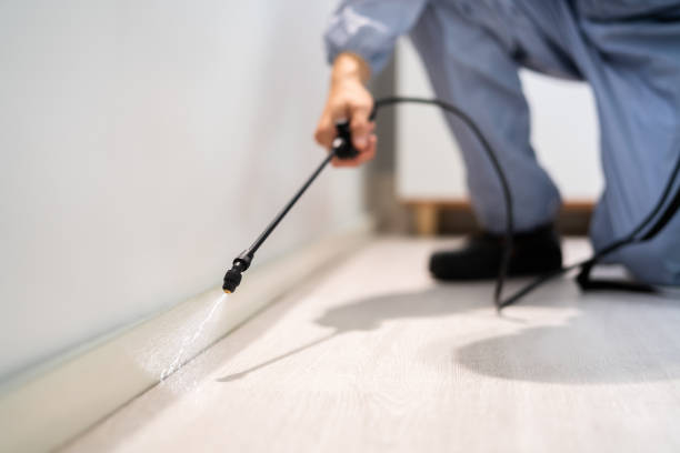 Licensed Pest Control service in East Falmouth, MA - Show Me Pest Control