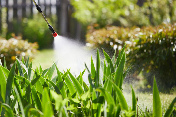 Tamper-Resistant Bait Stations for Rodents in East Falmouth